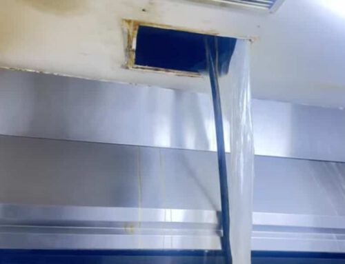 Cepillado neumático sistemas de extracción
