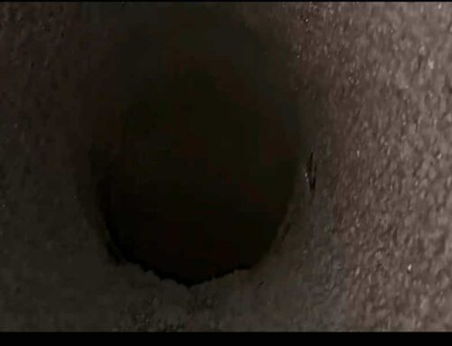 Limpieza grasa conductos extracción
